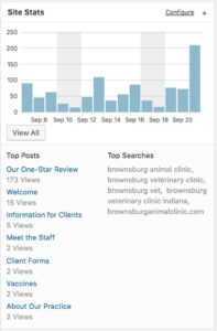 Brownsburg Animal Clinic website statistics chart showing traffic to 'Our One-Star Review'