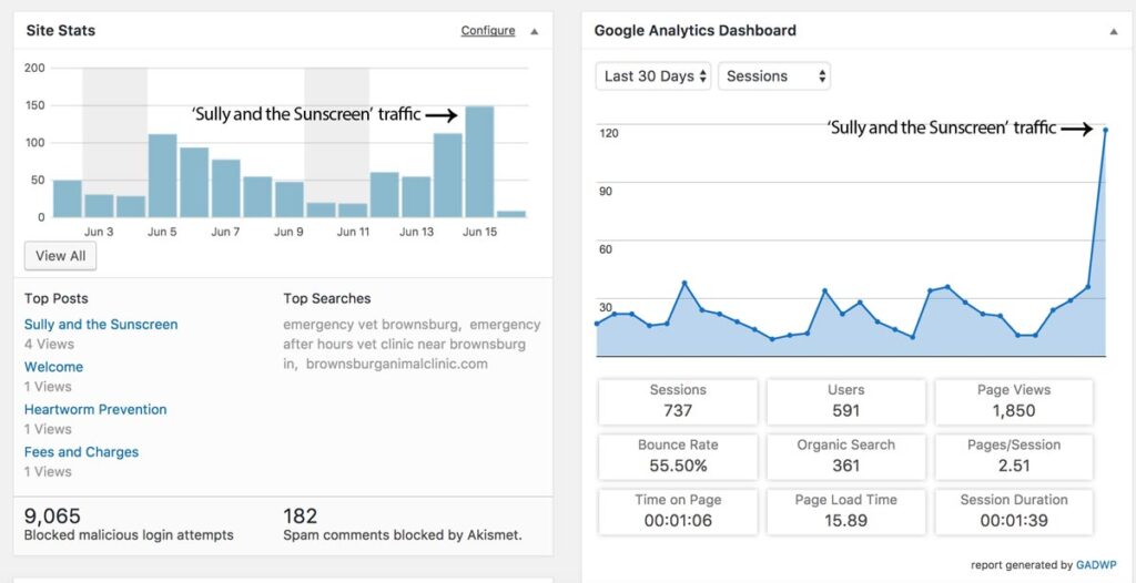 Brownsburg Animal Clinic website traffic to 'Sully and the Sunscreen' post
