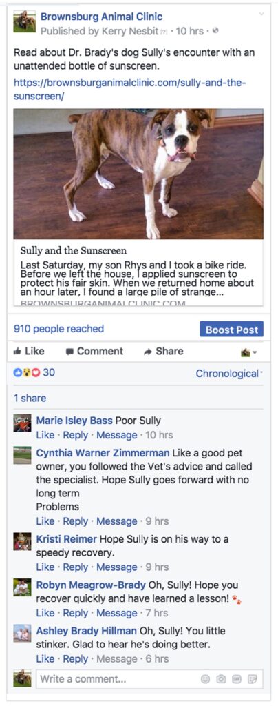 Brownsburg Animal Clinic Facebook post linking to 'Sully and the Sunscreen' post