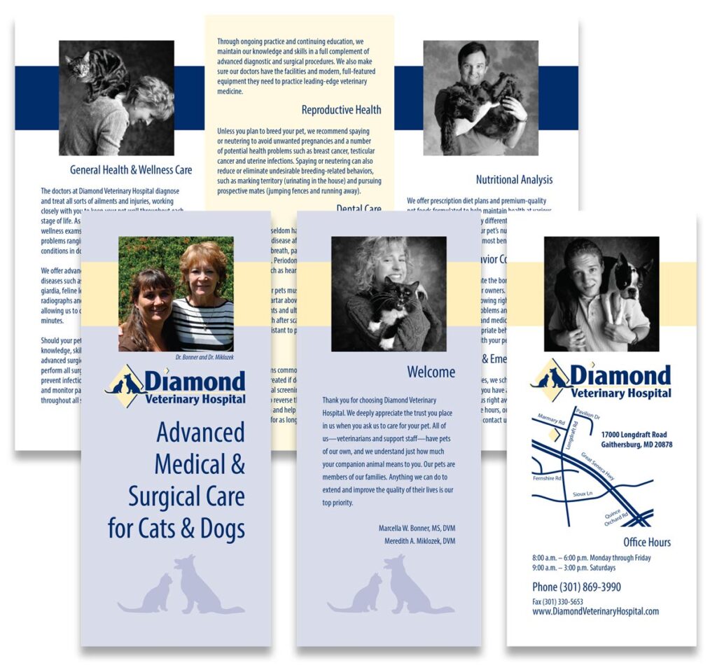 Diamond Veterinary Hospital “Advanced Medical and Surgical Care for Cats and Dogs” brochure